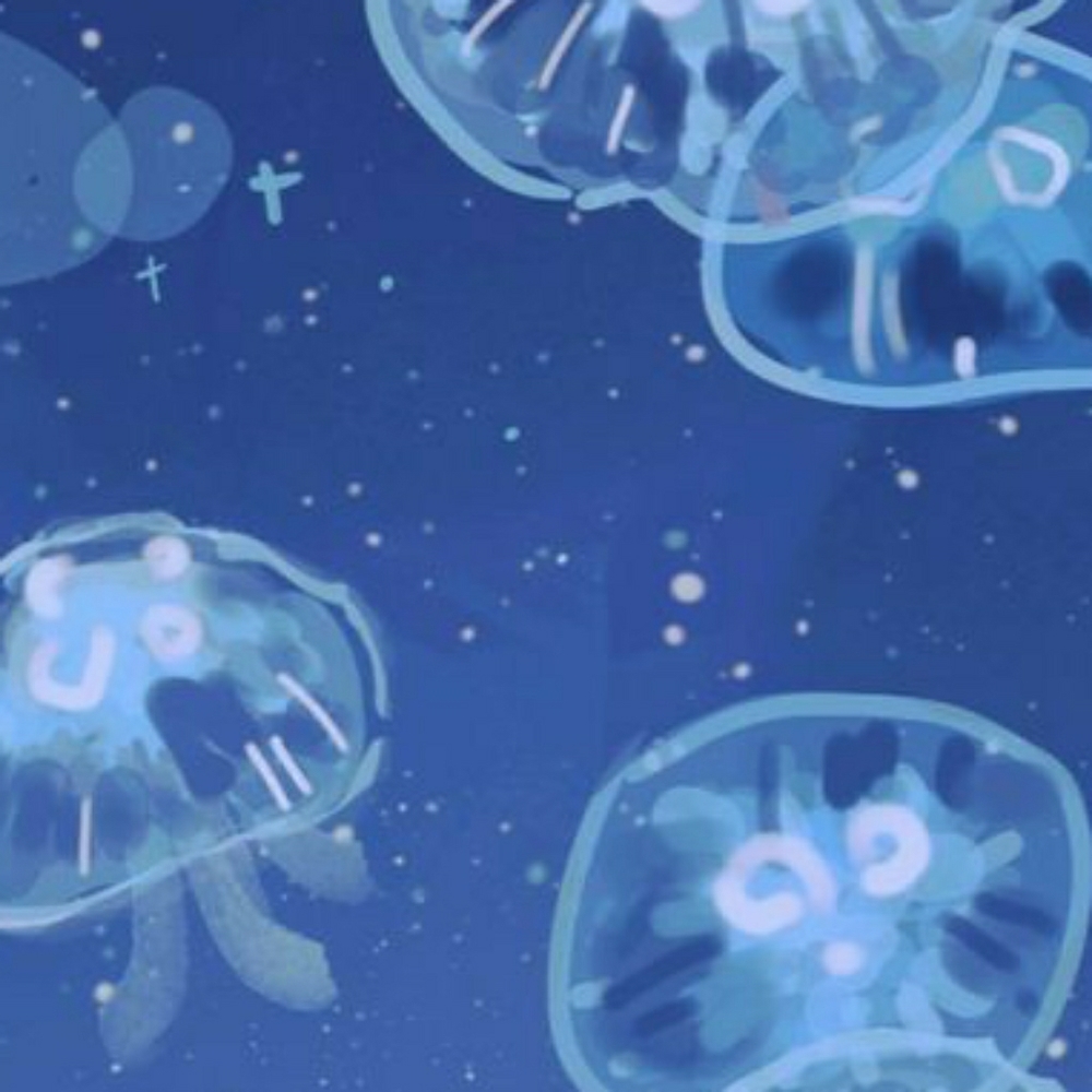 Meet your Posher, Marteena